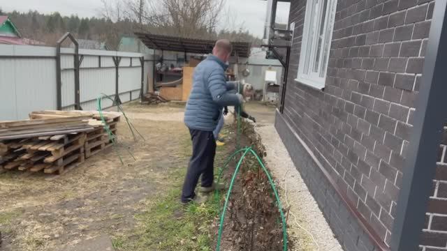 Мы на даче/Раскрыли розы/Подготовили азотную подкормку (бродилку) 11.04.2026