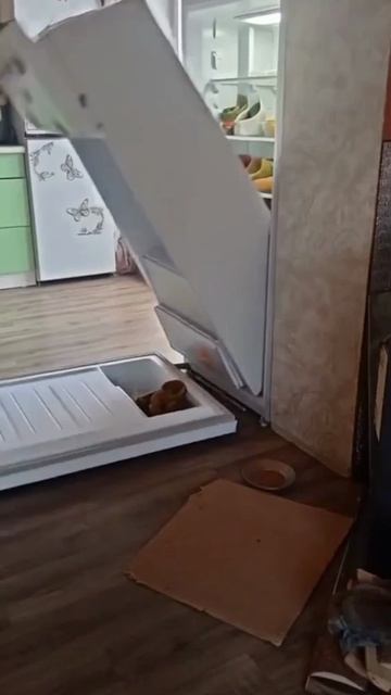 холодильник упал