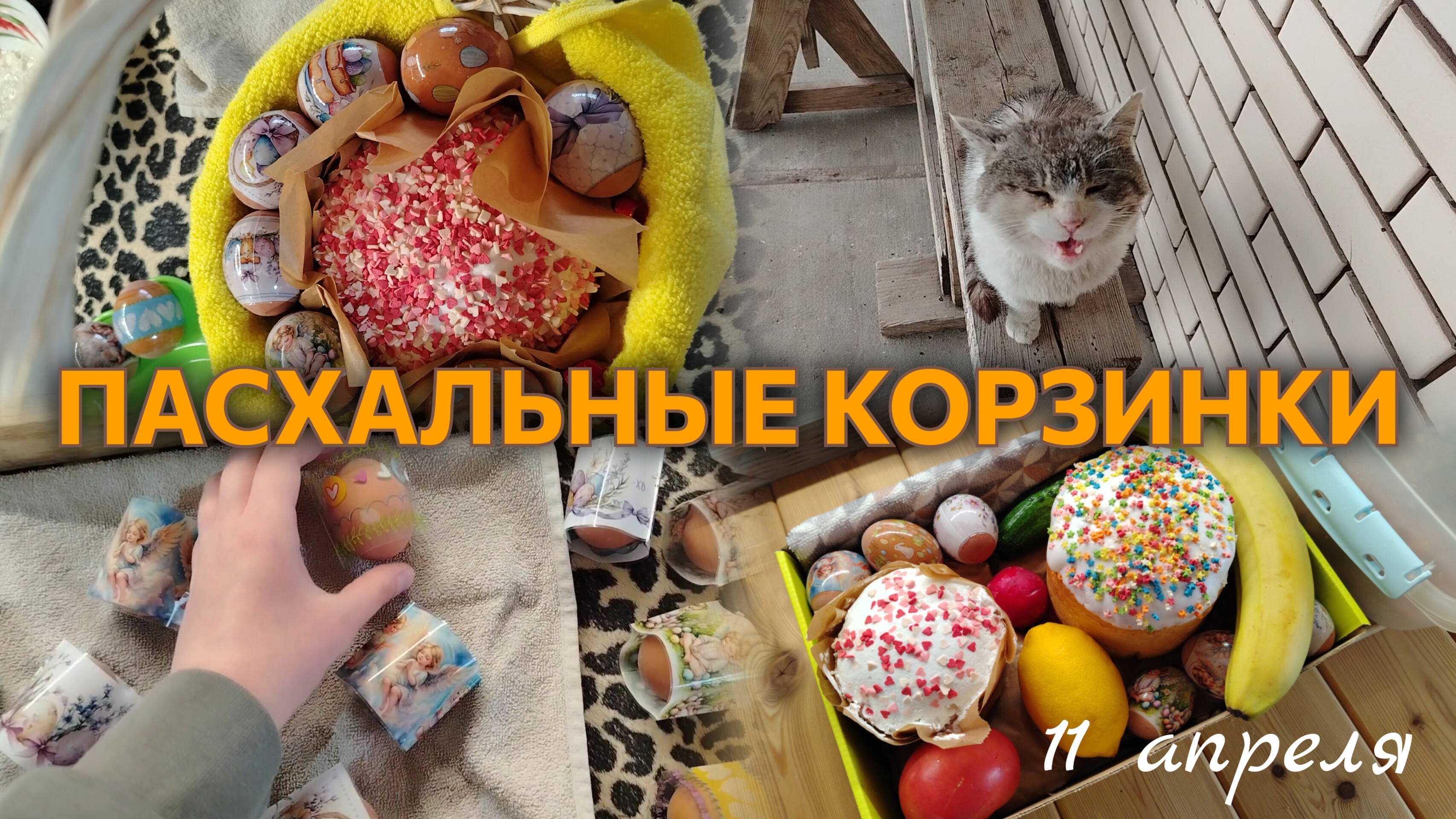ВЛОГ Украшаем ЯЙЦА🐣 Новый корм для Сёмы🐈