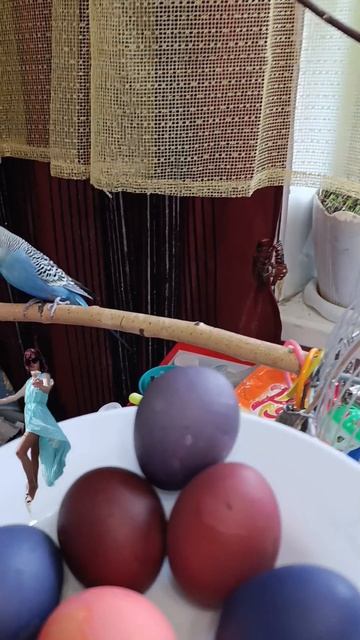 С Пасхой от моих космонавтов! Сюрприз в конце клипа!