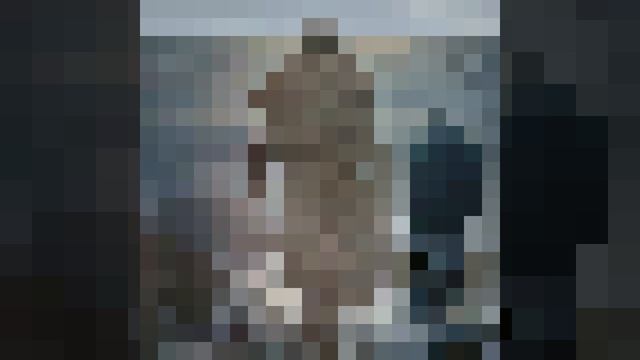 Моё сердце пылало-Метаморфоза,сл.@Ю.Колчак, ИИ