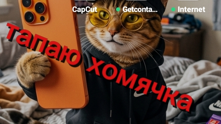 тапаю хомячка с помощью авто кликера