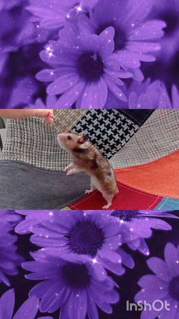 Боже мой!!
это он?