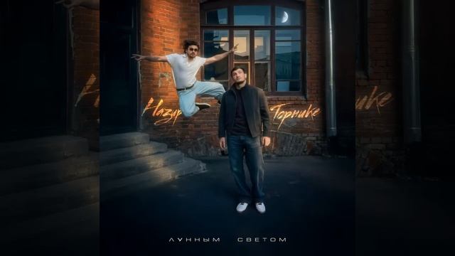 Лунным светом