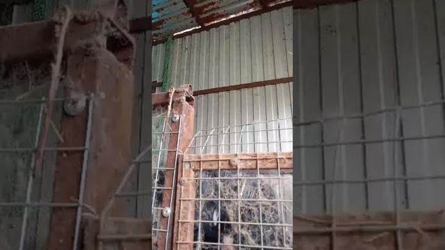 это отвечаю на вопросы