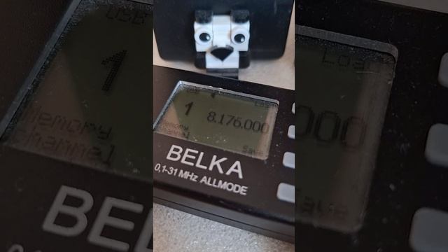 8176/12365 KHz VMC HF Marine Radio Service (Charleville, QLD, AUS) 12.04.2026