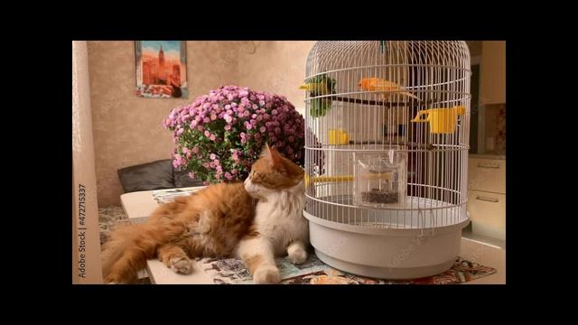 Мне чего-то не хватает...