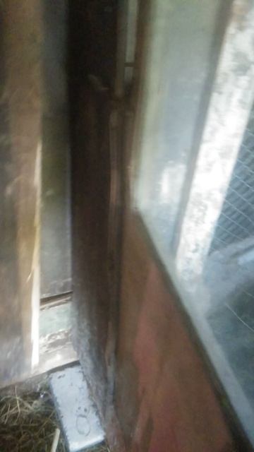 Веточный корм для кроликов