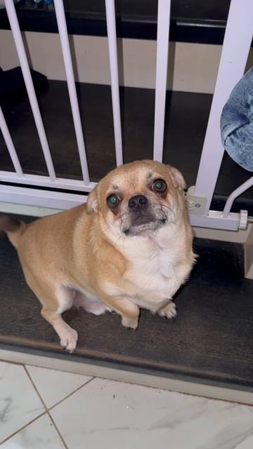 Не пускаем Парня.