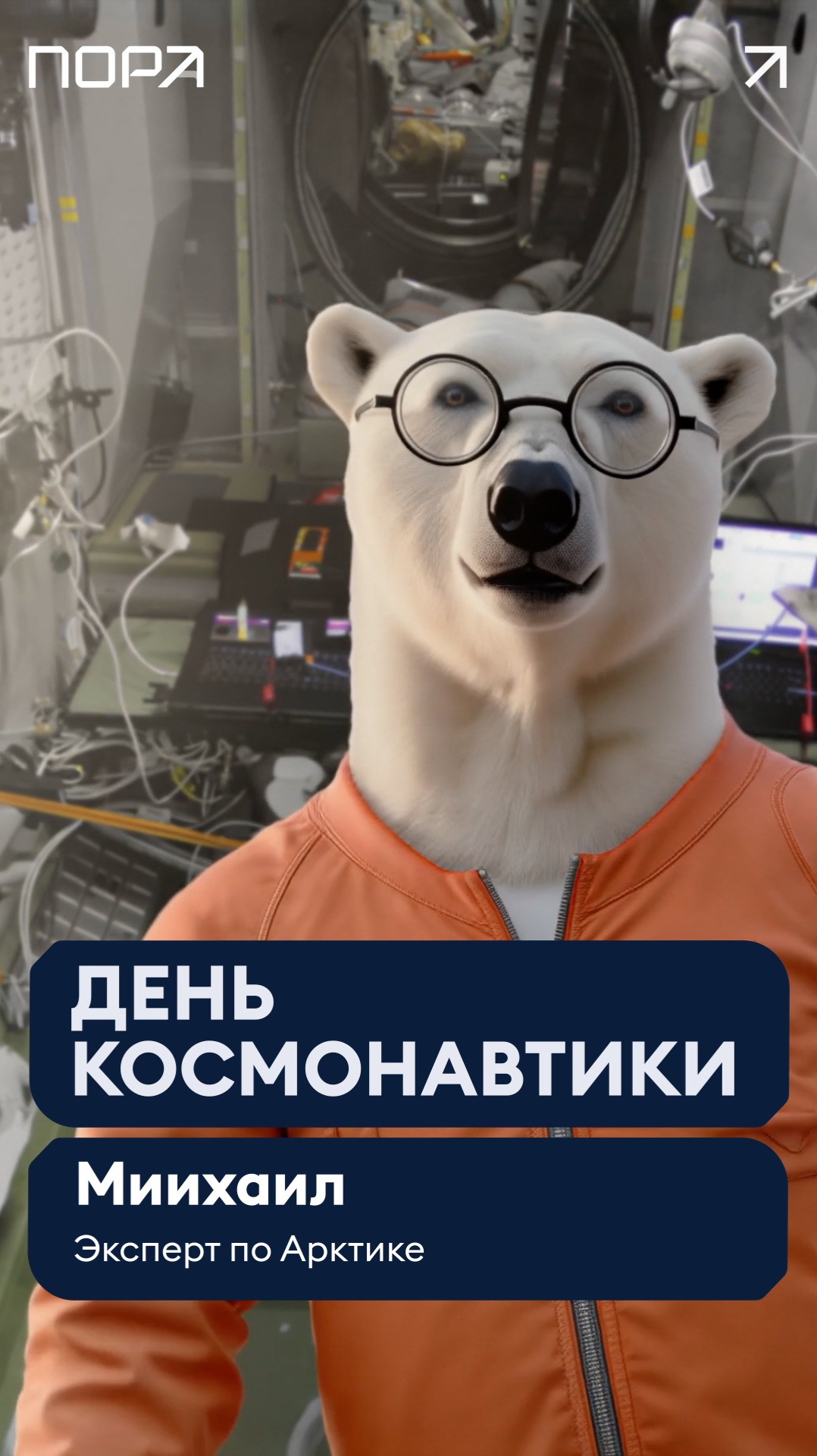 🐻❄️ С Днем космонавтики! 🚀