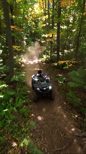 Приключение на квадроцикле в лесу #квадроцикл #лес #приключения