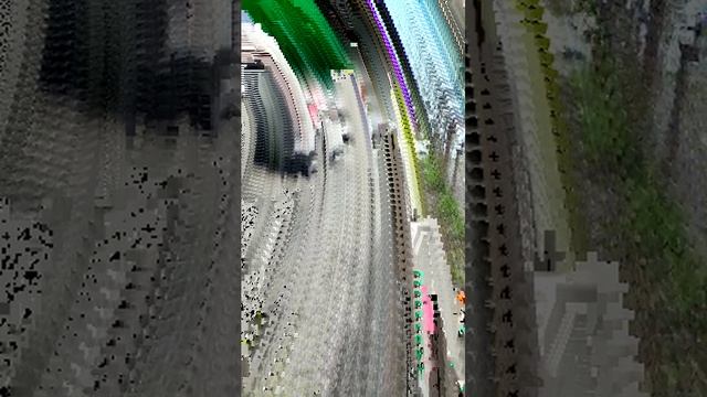 жизнь жизнь