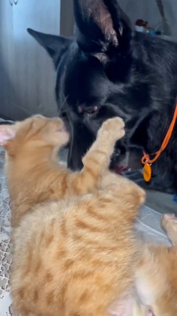 на макияжек