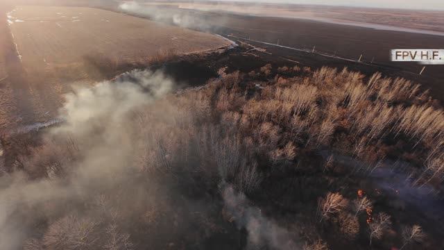 ЕАО продолжает гореть. 04.2026.
