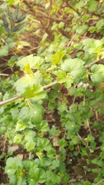 Какая красивая природа 🌿☘️🌴🌵🍃☘️🌿🍀