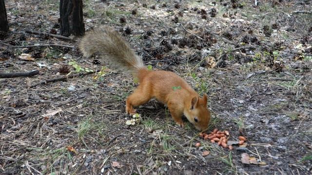 2635d417e41294d295f2d128ab25dc49