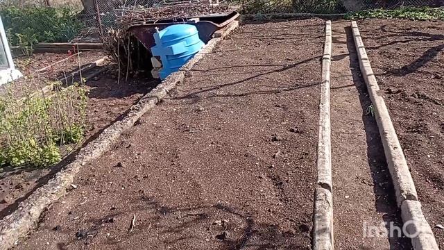 Утро воскресенья. Позавтракали. Обход дачи.