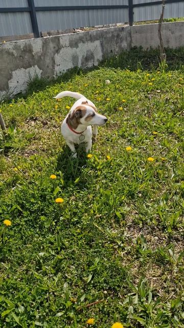 12 апреля.Едем на море.