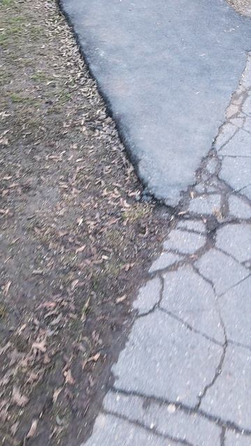 Москву пересолили реагентами #экология #москва #реагенты