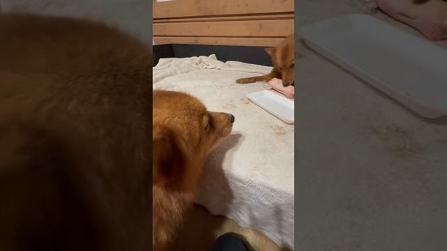 Тоня распаковала ЭТО! :: Tonya Unboxed THIS!