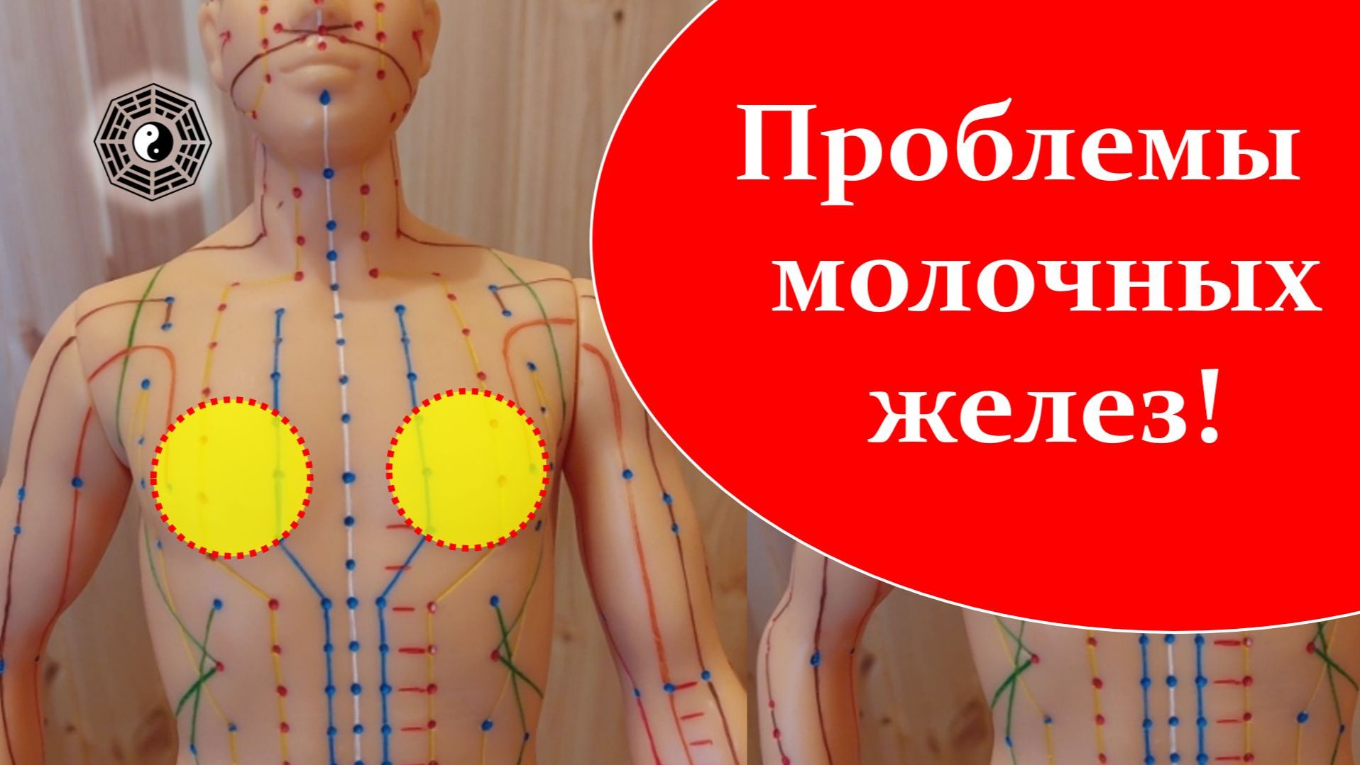 Молочные железы и точки на них 09