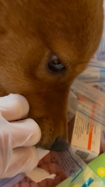 РАСПАКОВКА с Тоней и Иришей! UNBOXING With Tonya And Irisha!