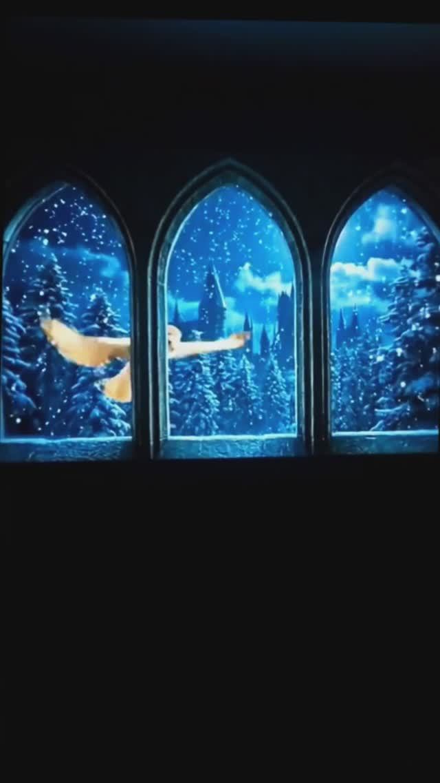 #shorts #disney #harrypotter #снег #сова #проекция #projection #hogwarts