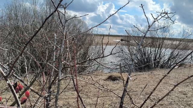 271a7889713da575d3e3244815155366