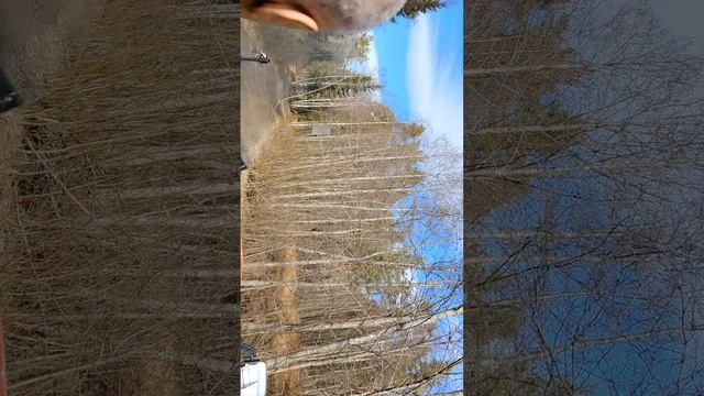 Белые мосты