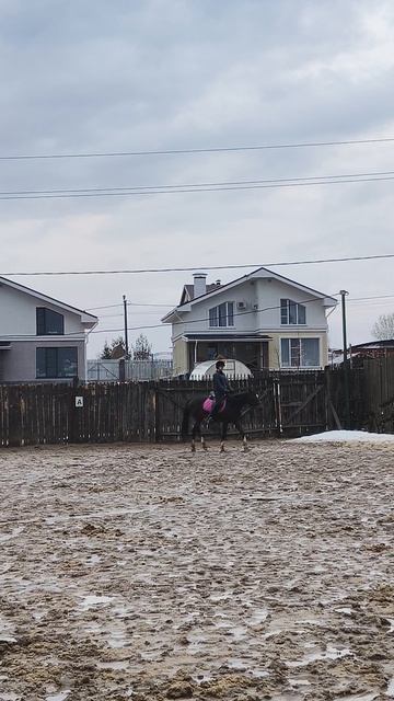 Аня и Флейта, строевая рысь на весеннем плацу.