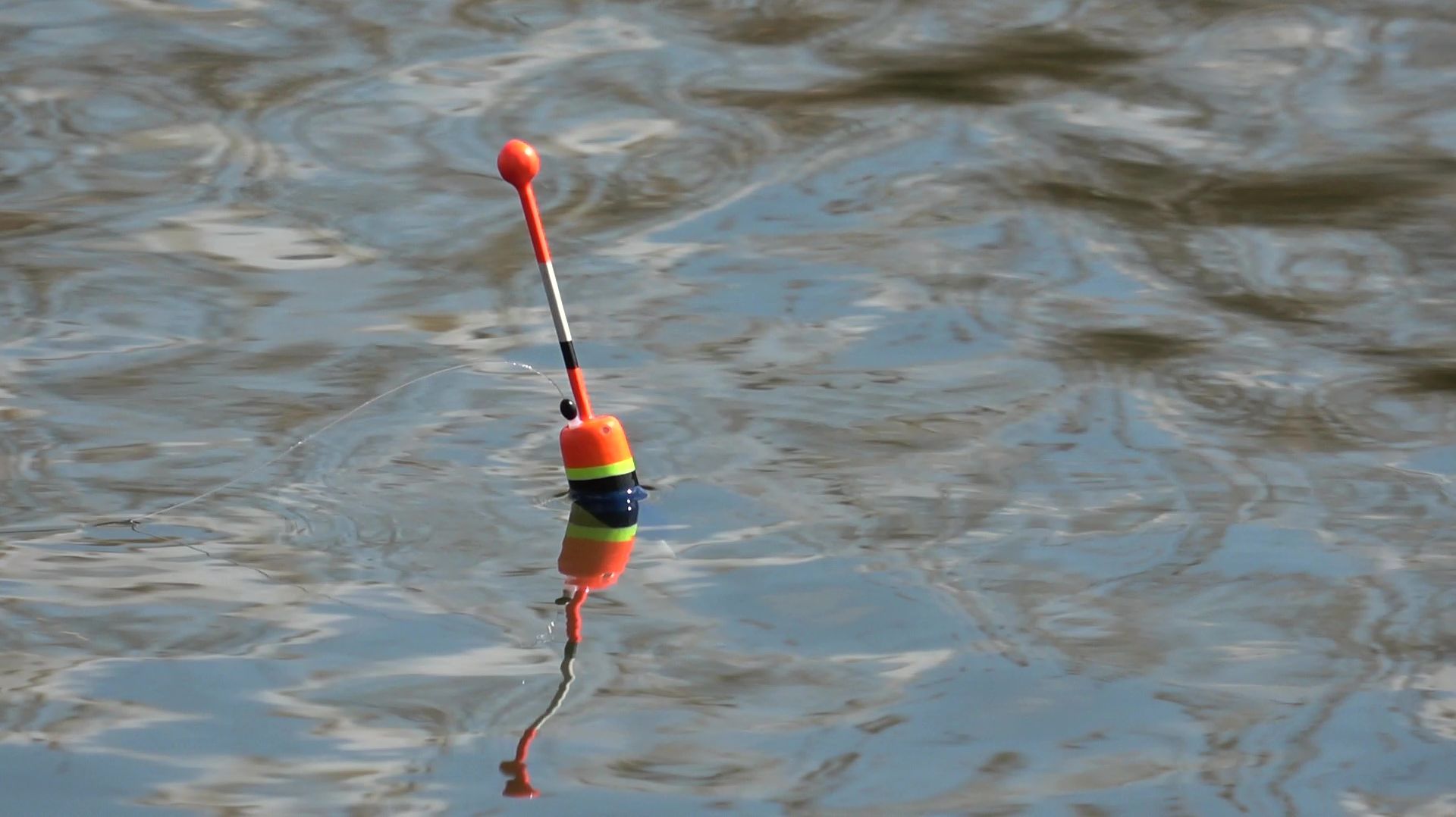 167c7bc703402bac24ec045d7ba2c379