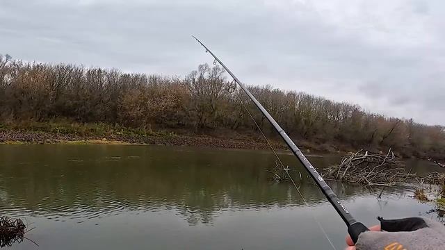 Дроп-шот или ДЖИГ? Что выманит хищника из под дерева? Рыбалка на спиннинг с берега.