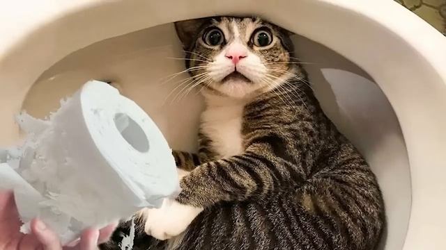 Звонарь из Финико.