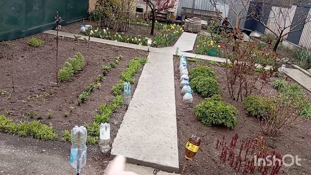 Готовим вкусно на мангале. Празднуем Пасху.