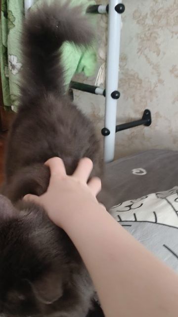 починили потолок. и случился тяп ляп