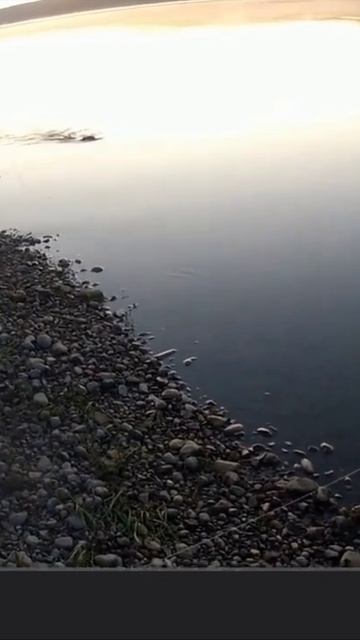 E4365b62032935244b5ad1f183852f1e