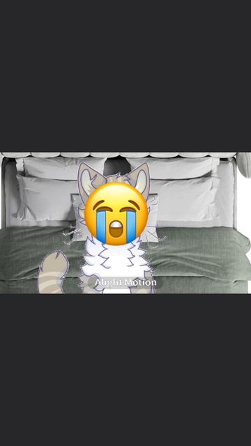 хахахахахахах#кв#искра#белолапа#берёзовик#лисохвост#котывоители#мемы#попугай#приколы