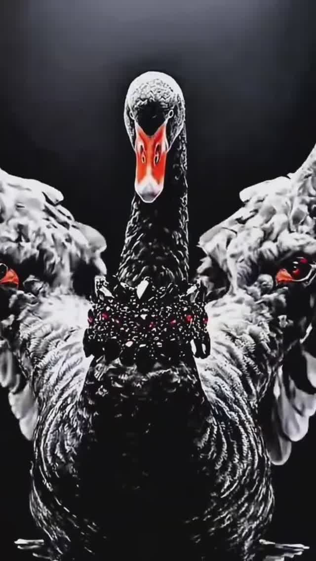 Аудиоспектакль «Лебедь Смерть. От охотника к Хранителю Жизни» - Samka Skorpiona #кино #архетипы