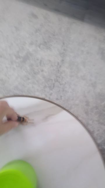 путешествие таракана 🪳 вокруг стакана