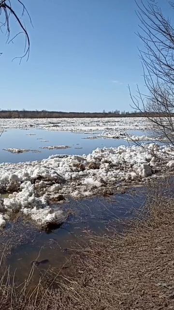 Видеоролик 5. Ледоход на реке Вятке. 05.04.2026 года. (Окончание.)