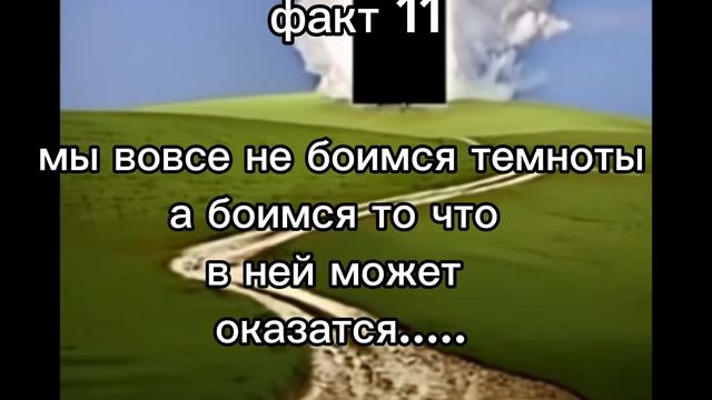 факт 11