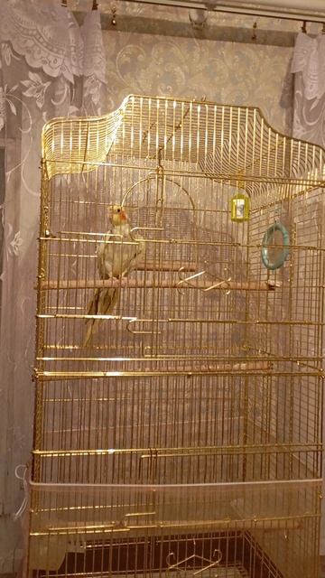 Аська танцует под звуки