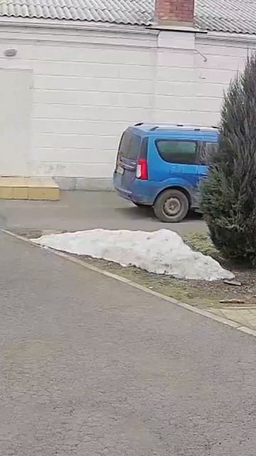 Снег тает ускоренное #timelapse