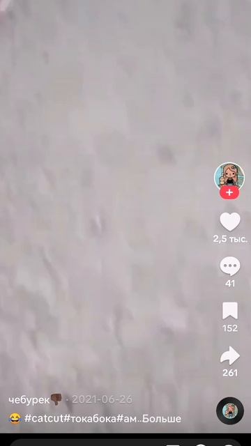 SVID_20260412_175305_1.mp4