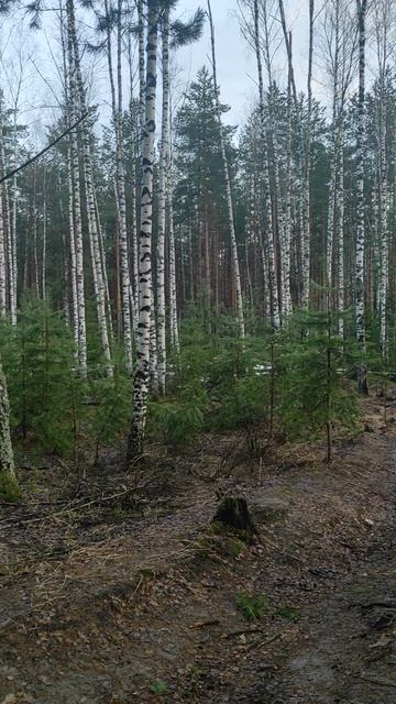 Bdd53295042363488d2266afbe08bd0b