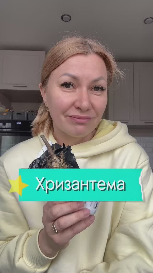 Самый стойкий цветок 🌺