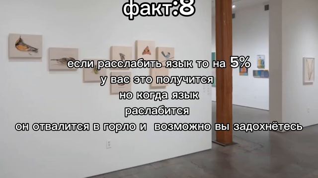 факт 8