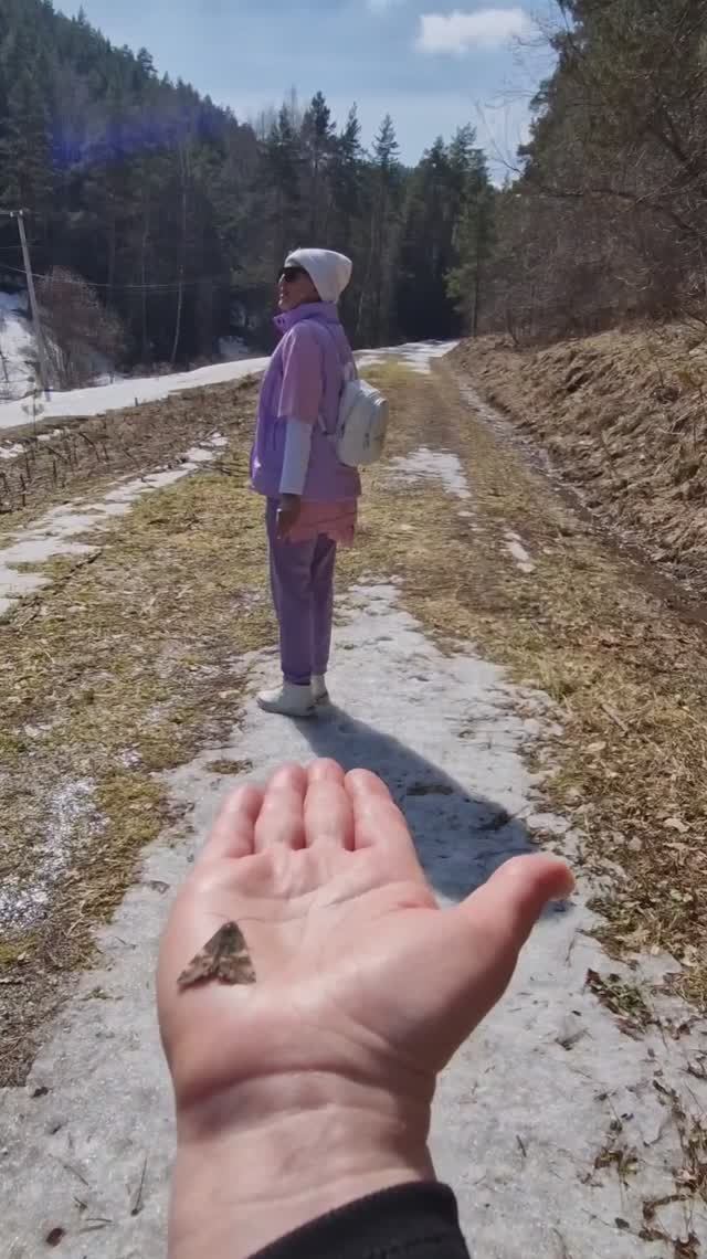 Бабочка - компас:) Весенняя бродилка #Алтай #Белокуриха