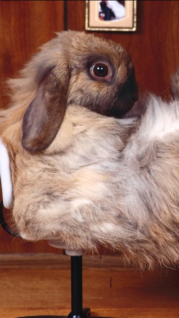 Прокачка мозга