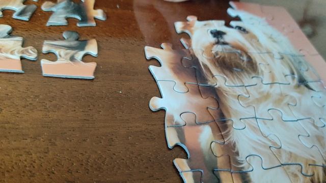 Собираю пазлы.